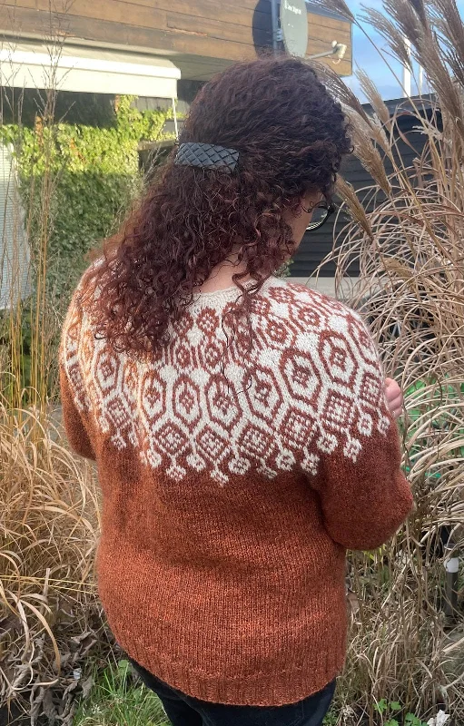 Elina - Rusty Brownish Sweater Knitting Kit Thin Thick Dense